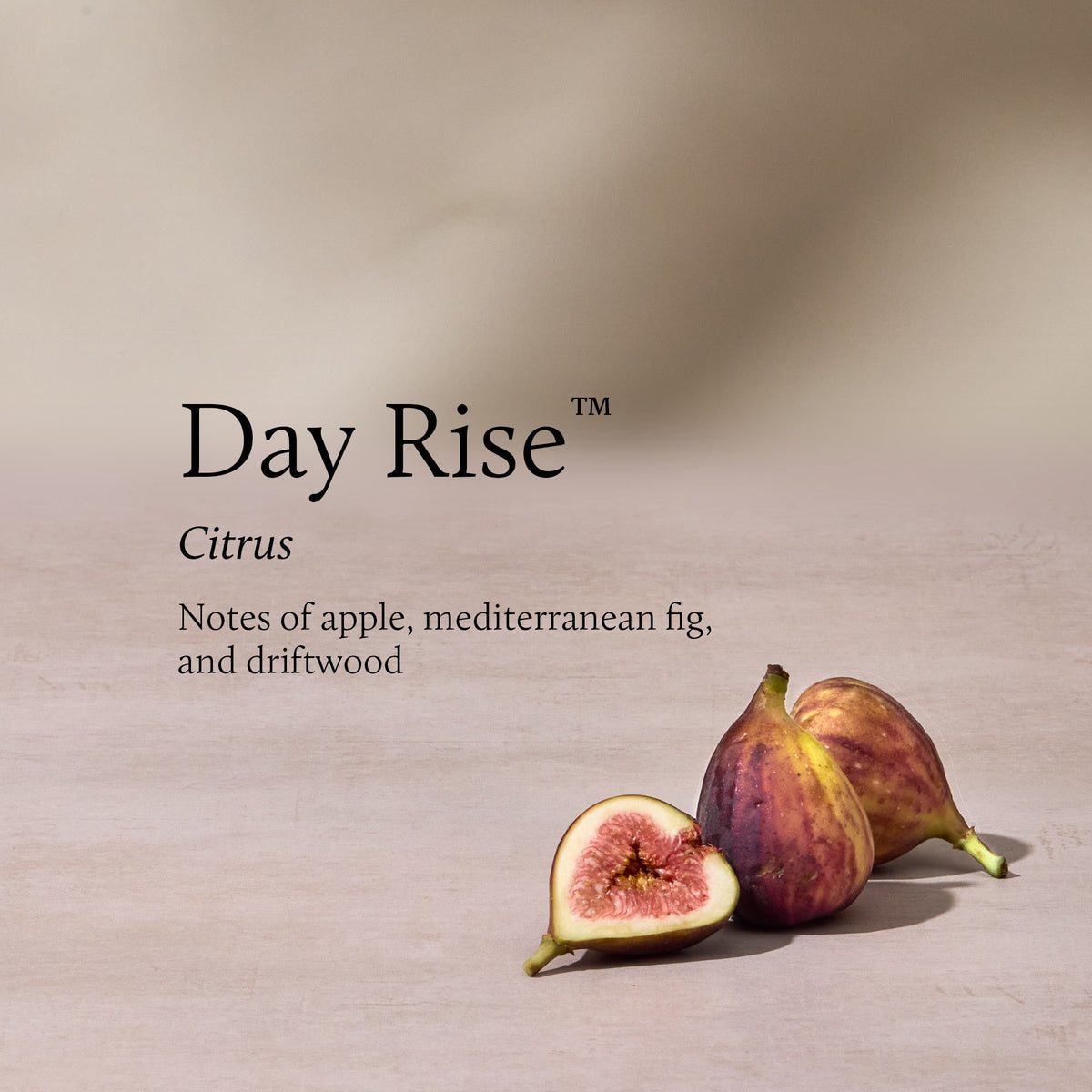 Day Rise Petite Reed Diffuser